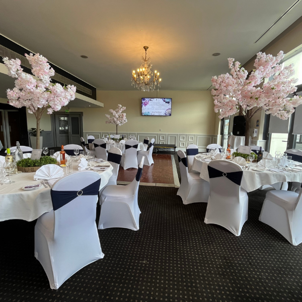  www.thedhotel.com