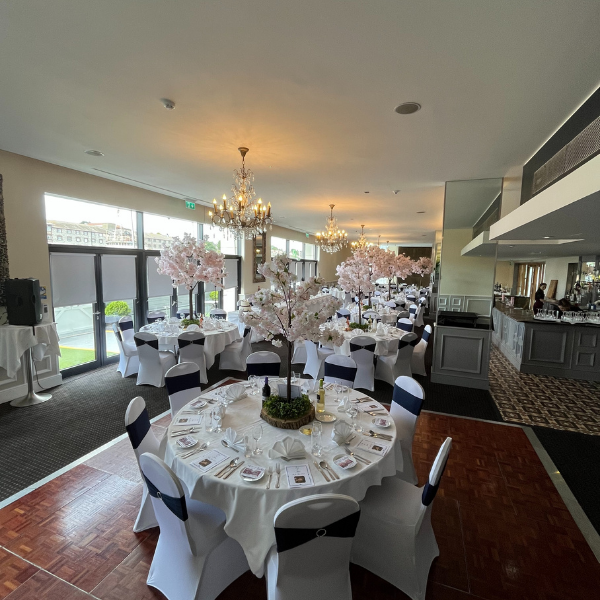  www.thedhotel.com